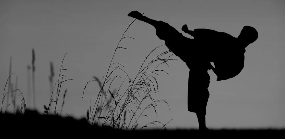 Flexibility for Fighters