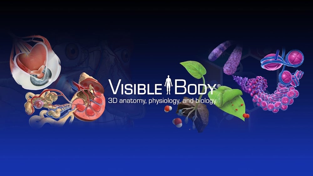 Human Anatomy Atlas 2026