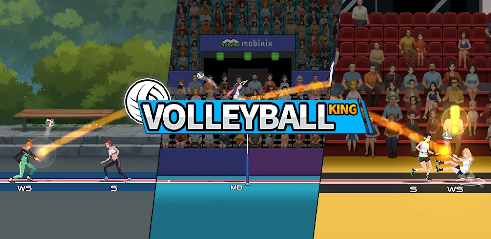 VolleyBall King