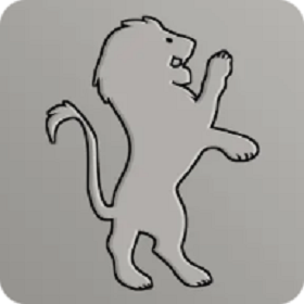 Witch Trainer Silver